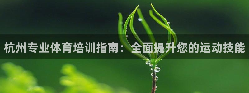 焦点娱乐加速器下载安装：杭州专业体育培训指南：全面提