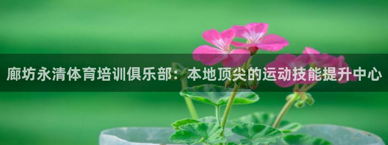 焦点娱乐拉菲11月11日