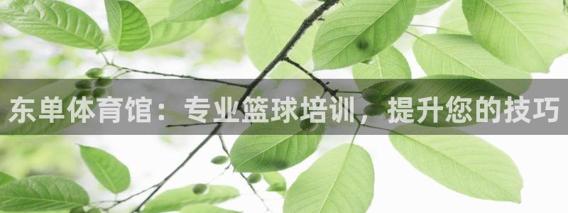 焦点娱乐平台注册账号是什么意思