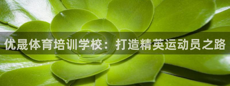 焦点娱乐是拉菲公司的吗是真的吗：优晟体育培训学校：打