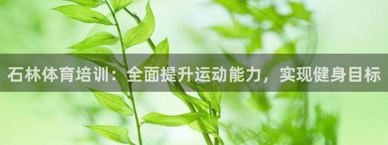 焦点娱乐app下载安装方式：石林体育培训：全面提升运